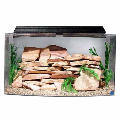 Best 5 gallon fish Tank