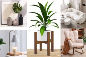 Best Furniture for Home Decor