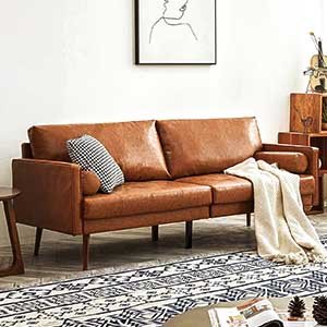 Leather Sofa Couch
