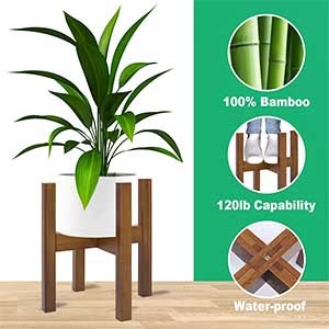 Plant Stand Indoor