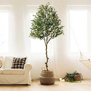 Olive Trees Artificial Indoor