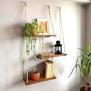 Hanging Plant Shelf