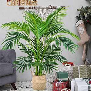 Palm Silk Tree Indoor and Outdoor
